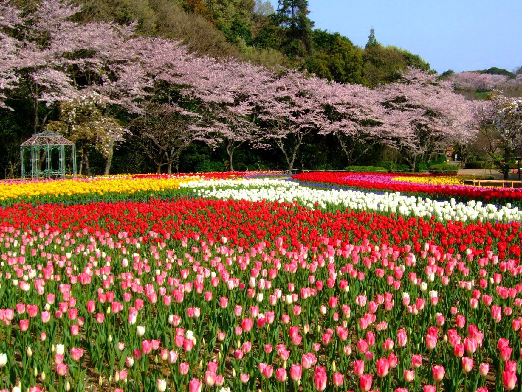 Izumigo Lake Hamana Dog Paradise Hotel Hamamatsu Buitenkant foto